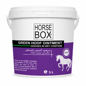 ONGUENT VERT POUR PIED 5L